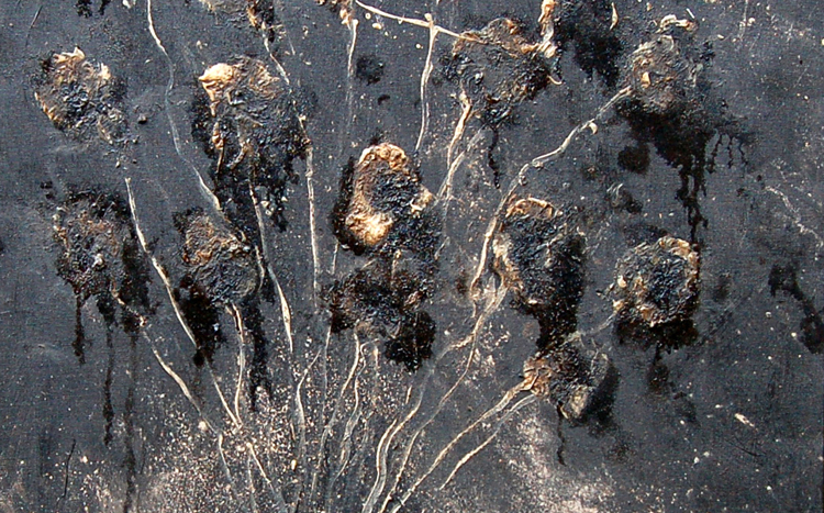 Bouquet de fleurs noires au rideau noir