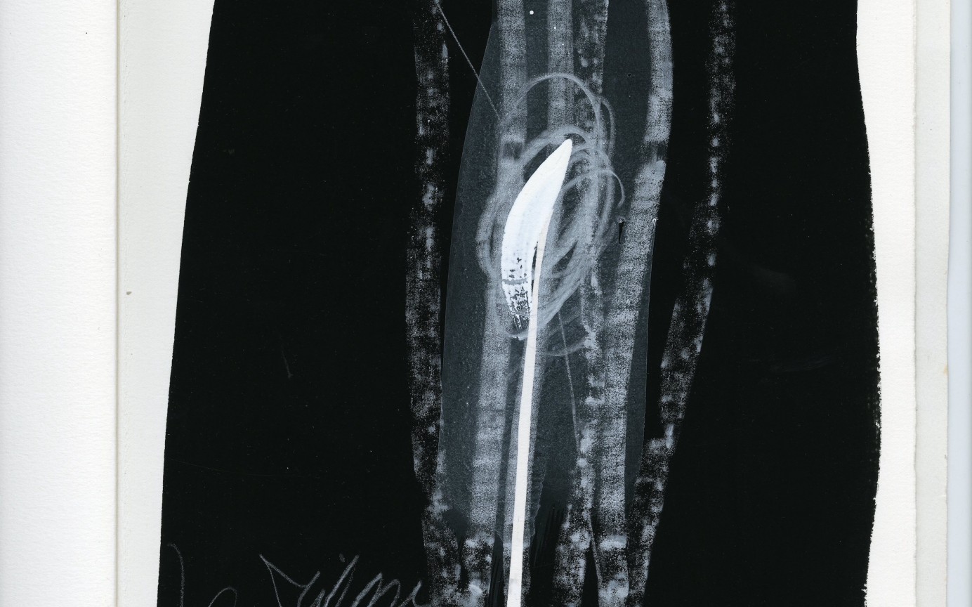 Acquisitions récentes